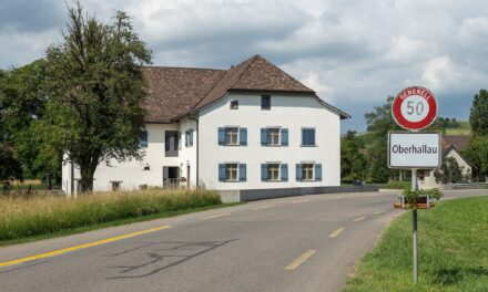 Überschwemmung Oberhallau 2024: Ursachen, Auswirkungen und Lösungen