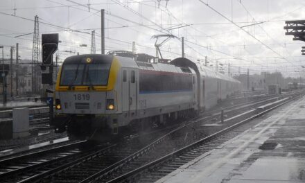 Unwetter in Brüssel: Rolle der Regenbecken bei der Hochwasserprävention