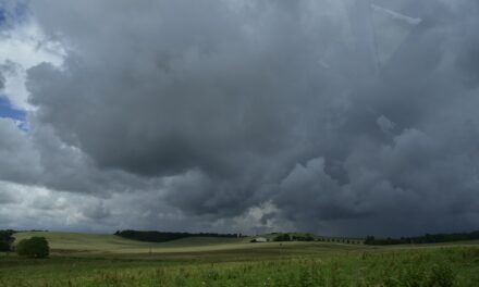 Heftige Gewitter: Brände und Überschwemmungen verwüsten Antwerpen-Mechelen