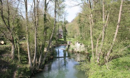 Romont nach Modave: Ein Weiler von Stürmen Verwüstet